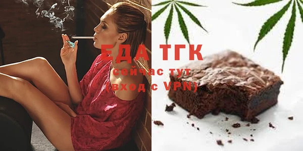 индика Богданович
