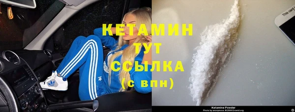 индика Богданович