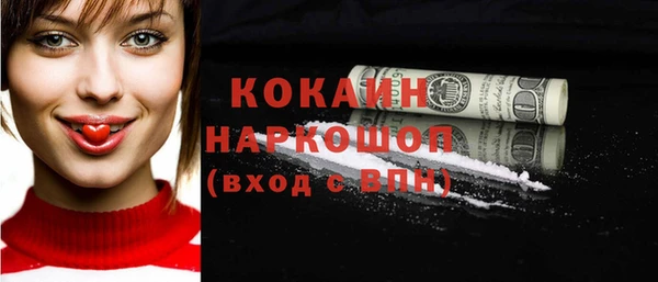 индика Богданович