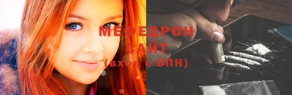 индика Богданович