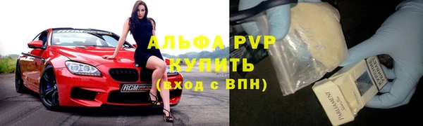 индика Богданович