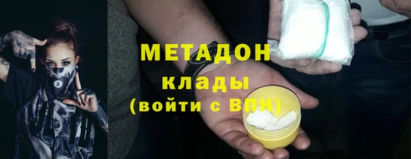 индика Богданович