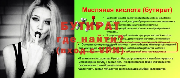 индика Богданович