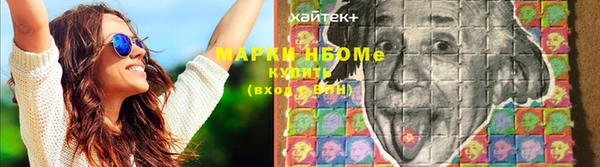индика Богданович