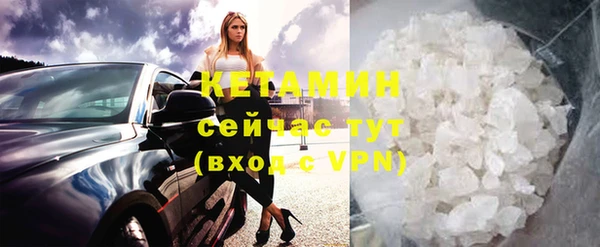 индика Богданович